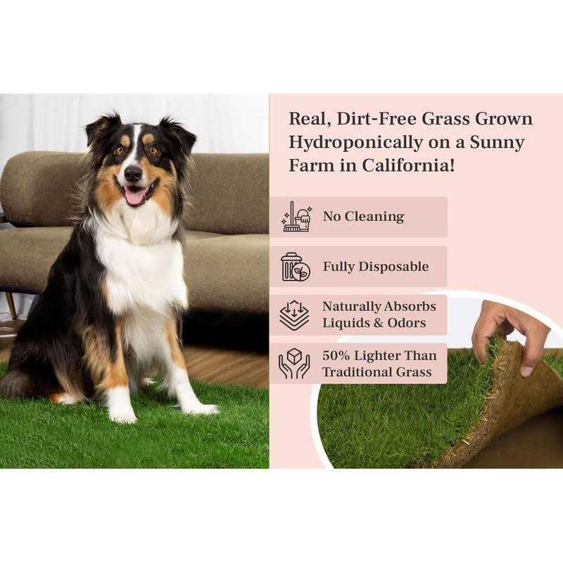DoggieLawn Dog Potty Real Grass P567039