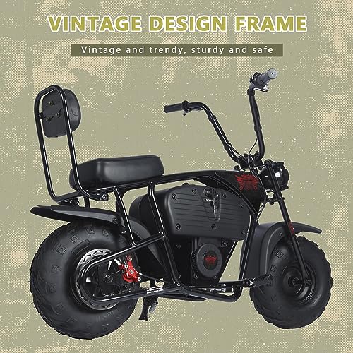 Oryxearth 36V Battery Powered Mini Electric Bike for Kids Ages 13+ L41264