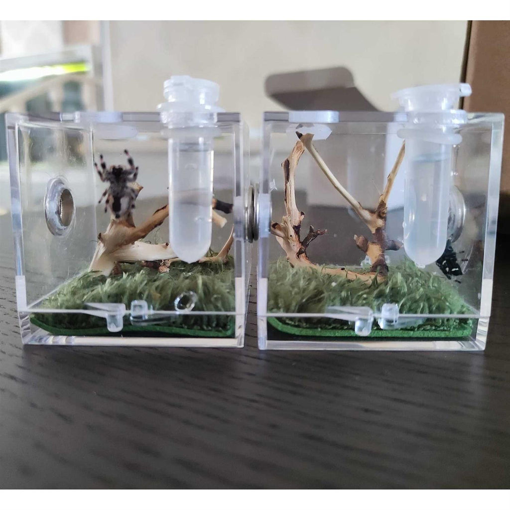 AWXZOM Spider Terrarium Acrylic Reptile Breeding Box D147723