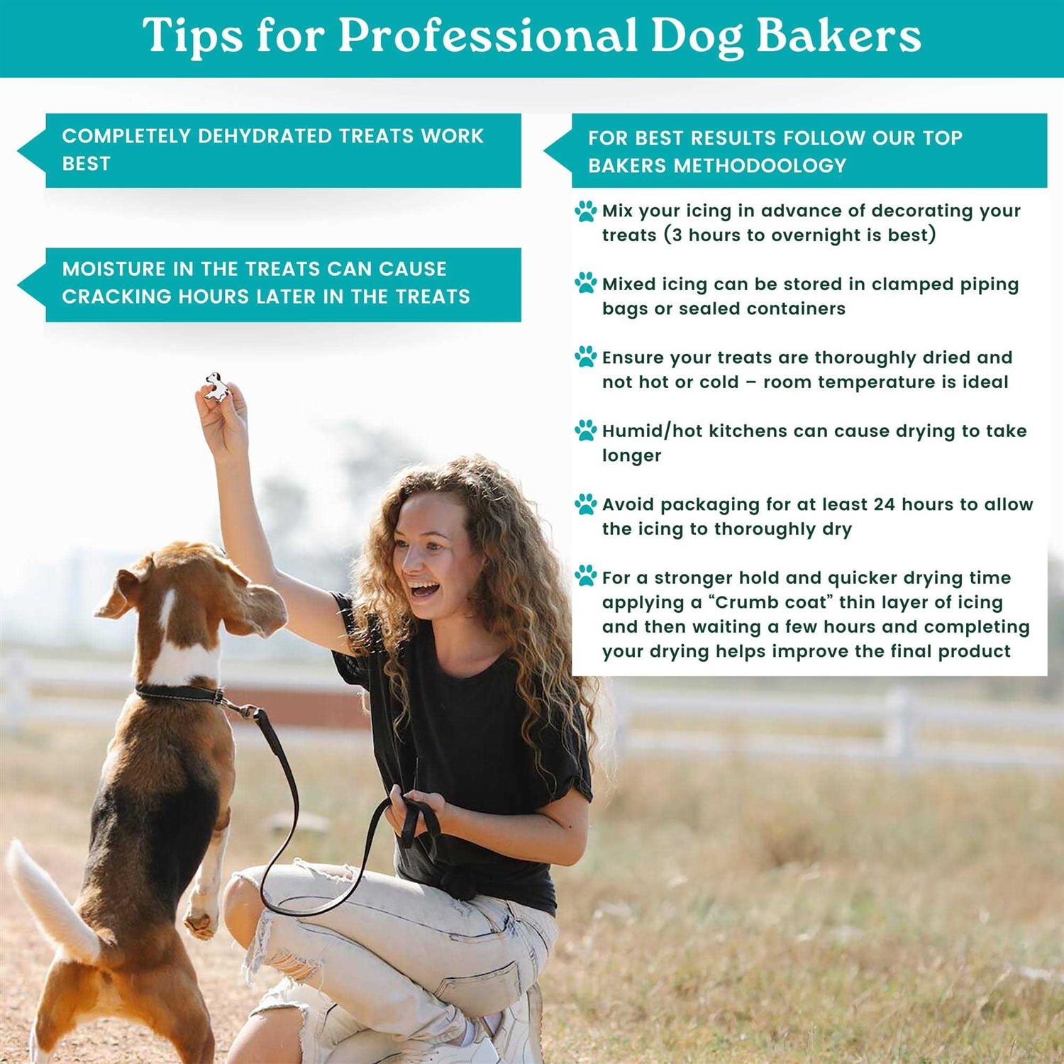K9Cakery Magifrost Icing for Dog Treats V895544