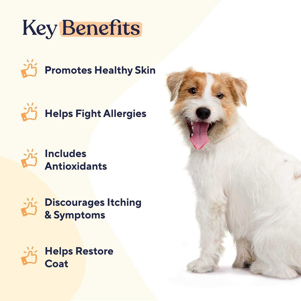 Pawfy Skin & Coat Soft Chews M92283