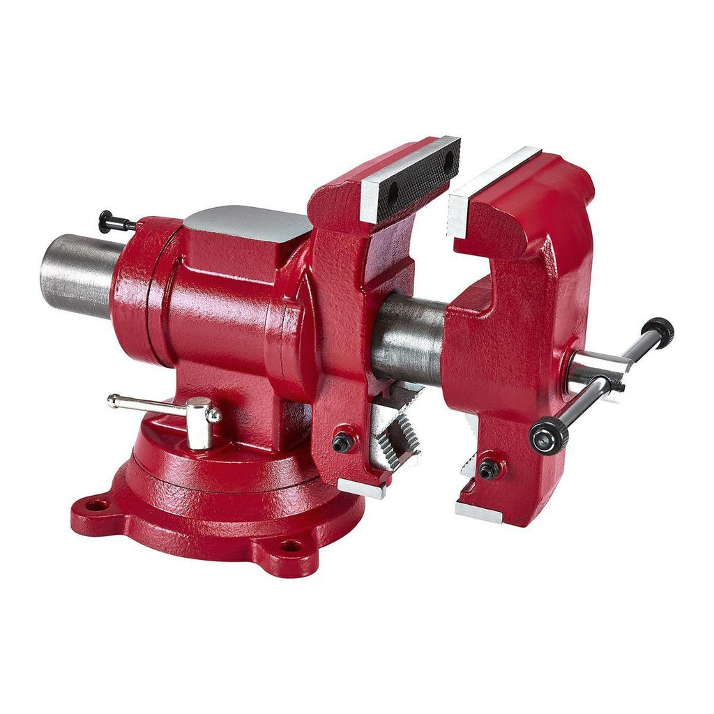 DOYLE 5 in. Multipurpose Vise with Anvil D8776