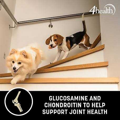 4health Wholesome Grains Adult Lamb and Rice Dry Dog Food L885258