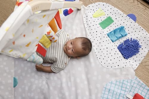 LOVEVERY The Play Gym Stage-Based Developmental Activity Mat for Baby to Toddler O91554