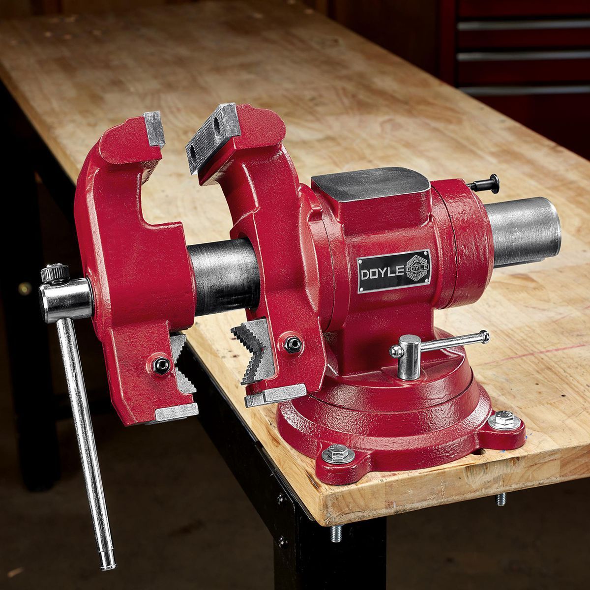 DOYLE 5 in. Multipurpose Vise with Anvil D8776