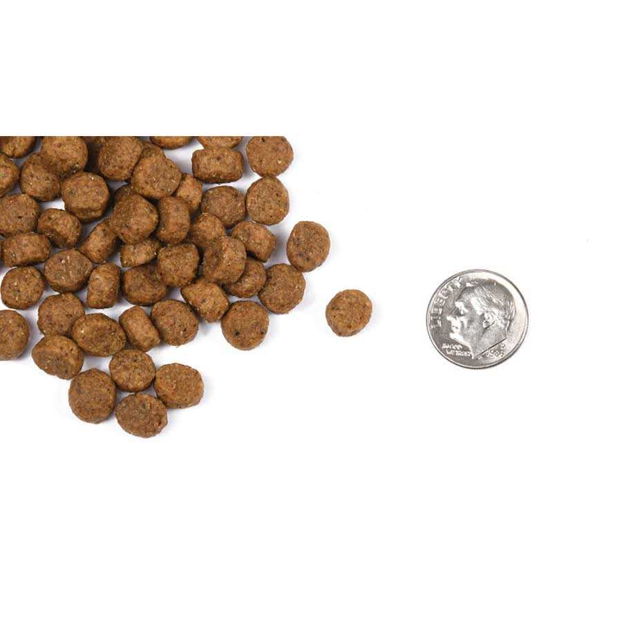 Fromm Classic Puppy Dog Food H6230