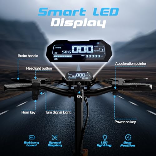 Ruitoo Electric Scooter 1000W Motor, Off Road Foldable E-Scooter for Adults H59744