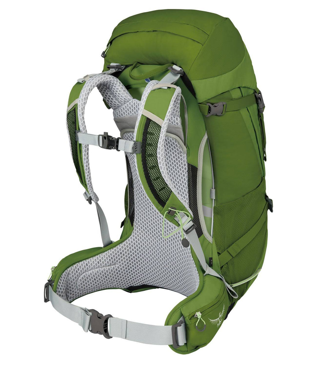Osprey Sirrus 36 Thyme Green V2361