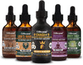 Life Cykel Mushroom Extract Set - Shiitake 100% Organic Mushrooms, Made in The US(Packaging May Vary) (Biohacker Set)