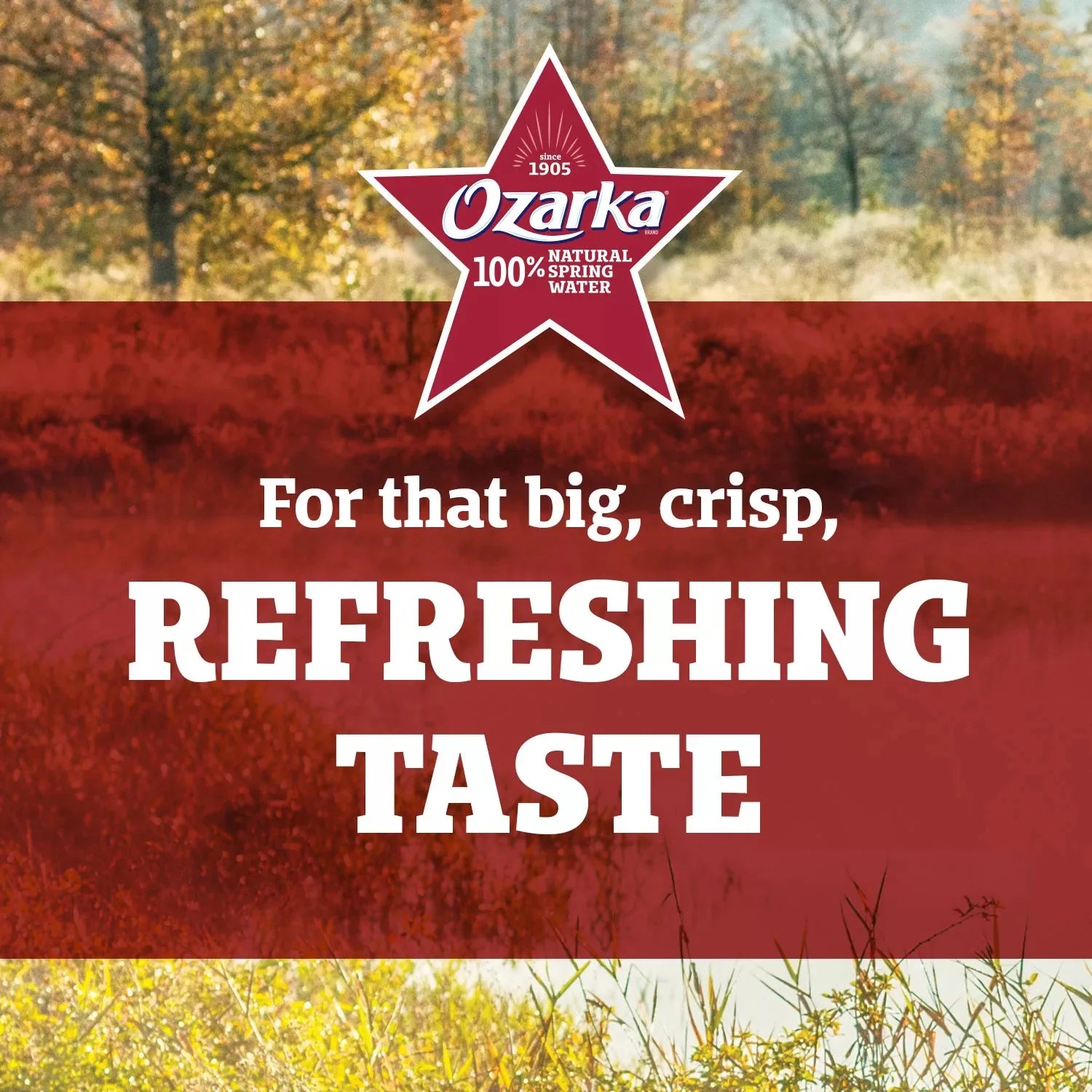 Ozarka Sportcap 100% Natural Spring Water 23.7 fl oz 24 pk N280838