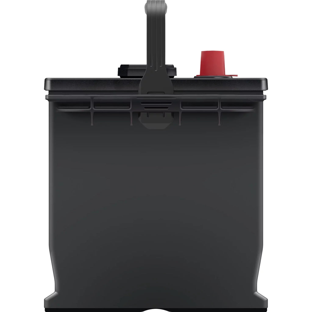 EverStart Plus Lead Acid Automotive Battery Group Size 65 12V 750 CCA U216835