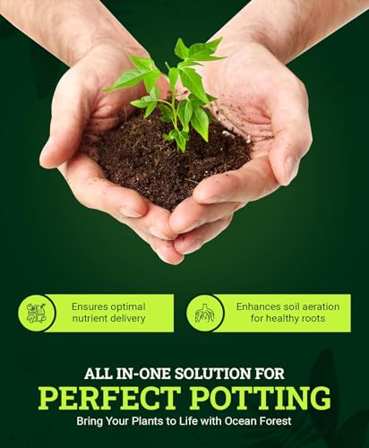 FoxFarm Ocean Forest Potting Soil 12qt for Container Plants G55750