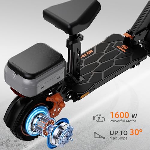 Ruitoo Electric Scooter 1000W Motor, Off Road Foldable E-Scooter for Adults H59744