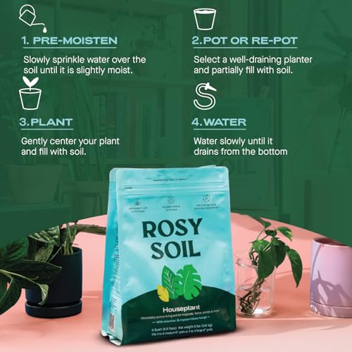 Rosy Soil Indoor Potting Mix for House Plants, Organic with Biochar, Peat Free, 8qt G818
