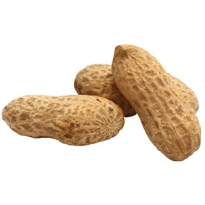 Song Blend Unsalted In-Shell Whole Peanuts for Birds G632