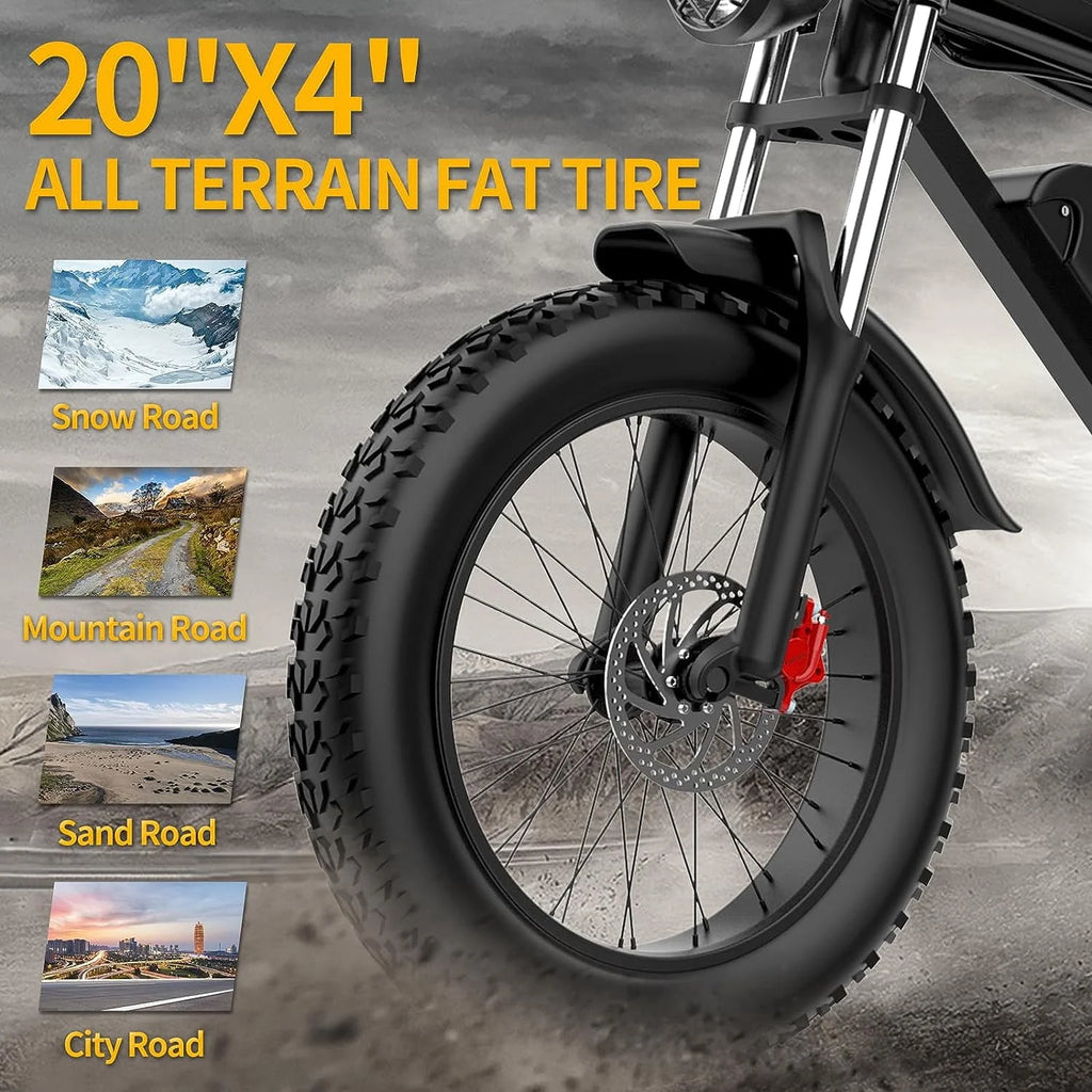 Ridstar Electric Bike for Adults, 20" Fat Tire, 1000W, Removable 48V/20Ah Battery R94788