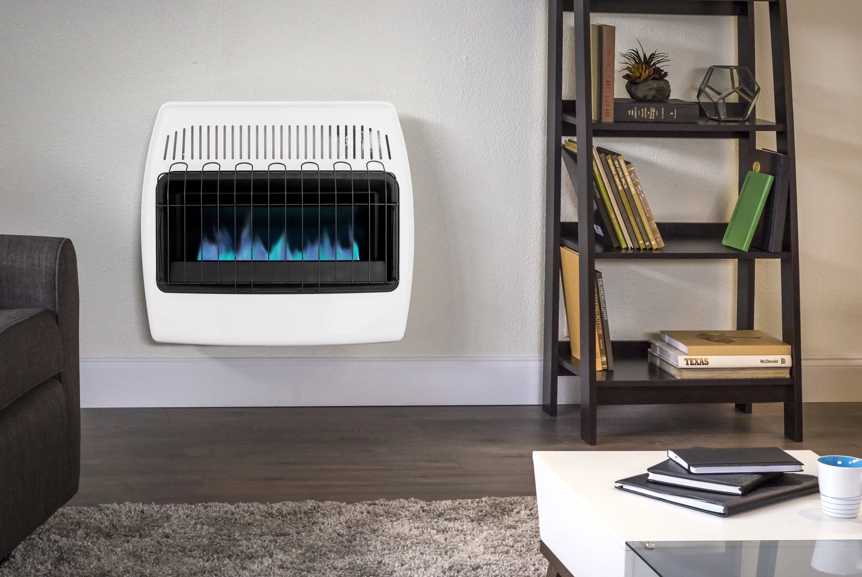 Dyna-Glo 30,000 BTU Natural Gas Blue Flame Vent Free Wall Heater Z810512