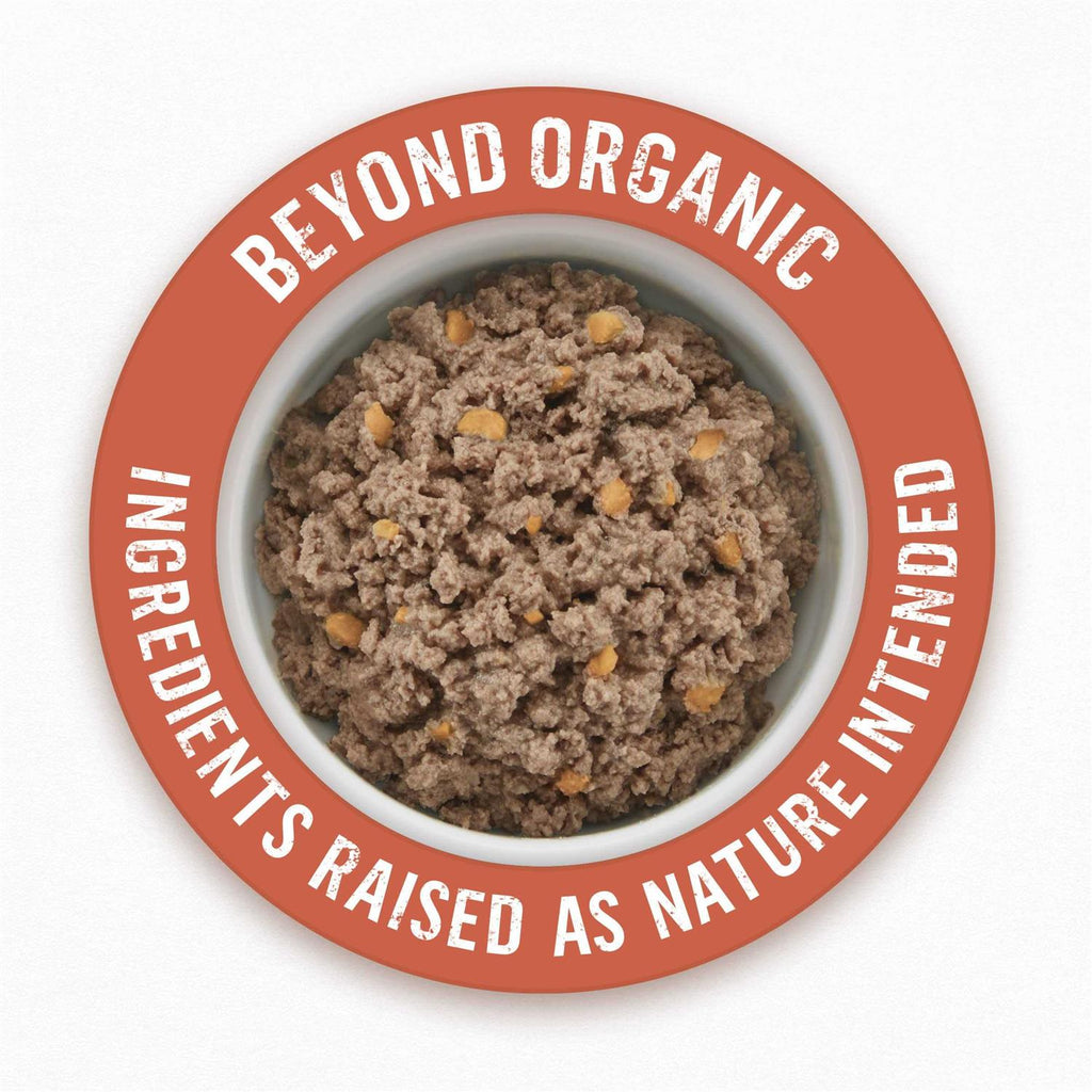 Purina Beyond Organic Chicken Recipe Wet Dog Food X390596