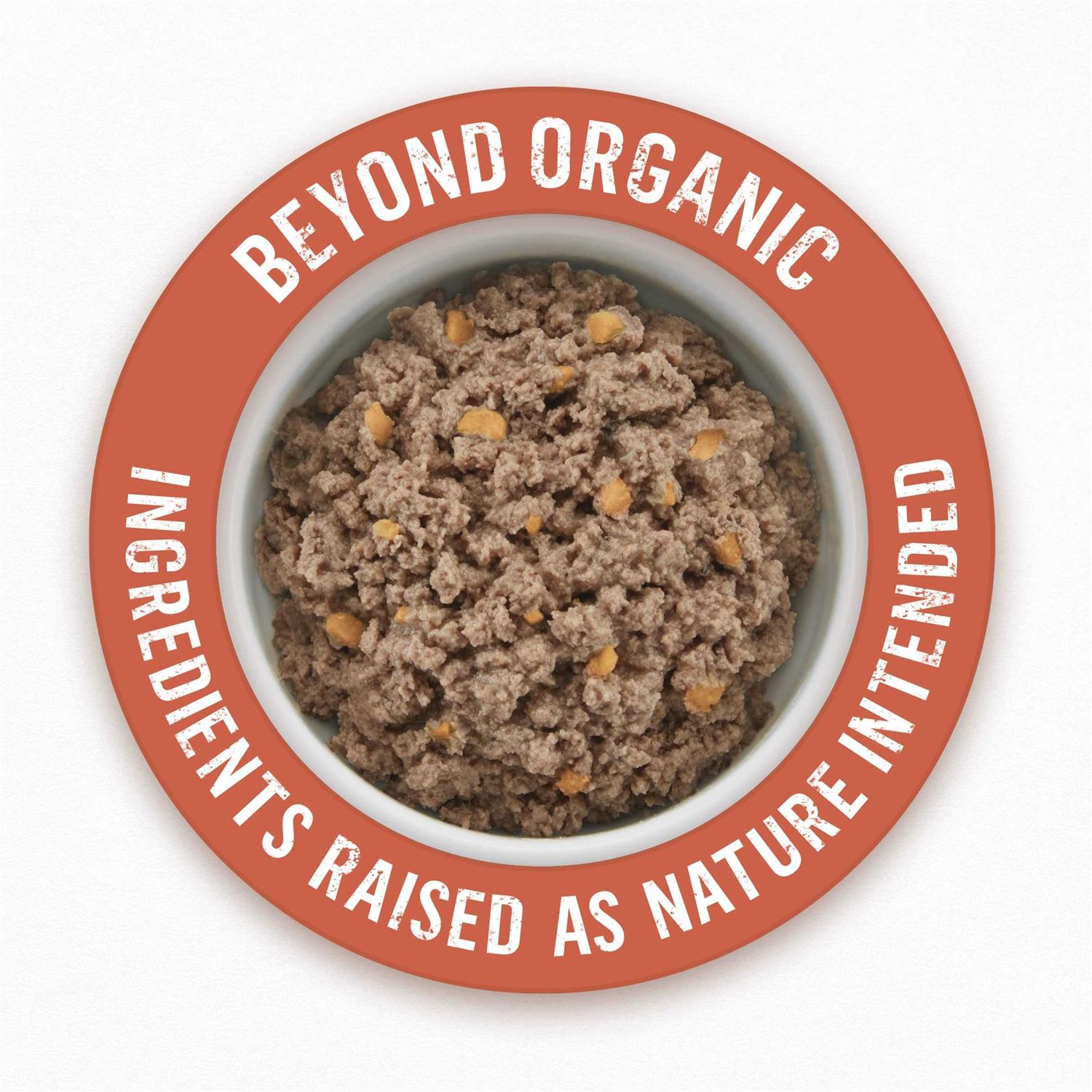 Purina Beyond Organic Chicken Recipe Wet Dog Food X390596