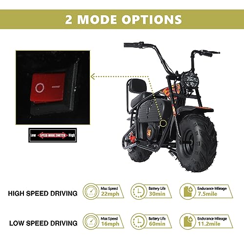 Oryxearth 36V Battery Powered Mini Electric Bike for Kids Ages 13+ L41264