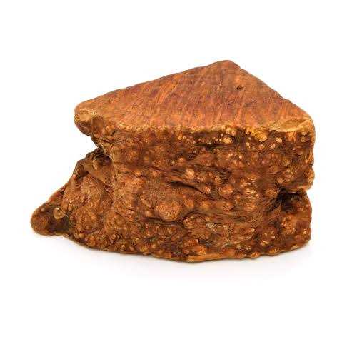 Little Loyals Premium Heather Tree Wood Dog Chew O5038