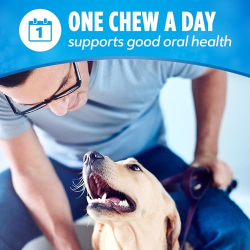 DentaLife Daily Oral Care Dog Treats for Small and Medium Dogs, Chicken Flavor, 47 ct. Pouch M519