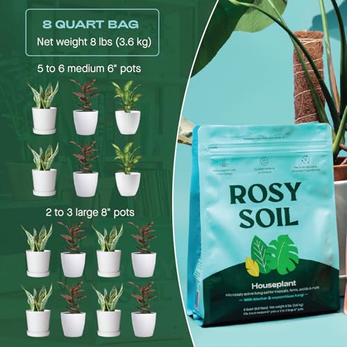 Rosy Soil Indoor Potting Mix for House Plants, Organic with Biochar, Peat Free, 8qt G818