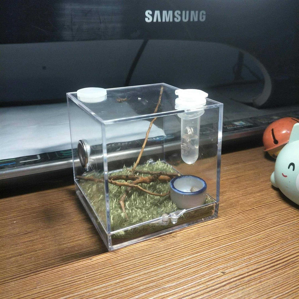 AWXZOM Spider Terrarium Acrylic Reptile Breeding Box D147723