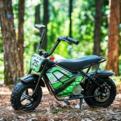 Kids Electric Dirt Bike 250W 24V 2-Speed C560898