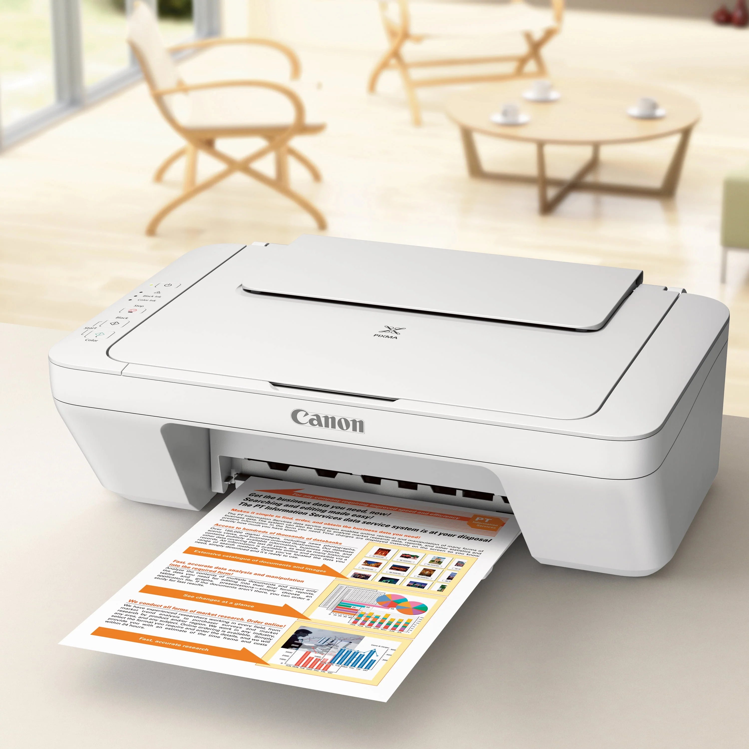 Canon PIXMA MG2522 All-in-One Inkjet Printer, White Q801