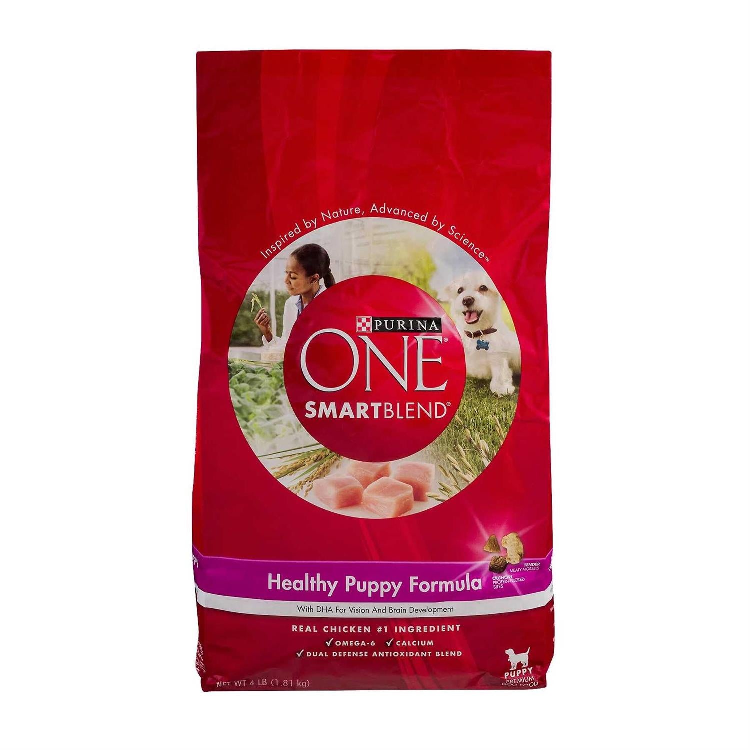 Purina ONE Healthy Puppy Dry Food V794226