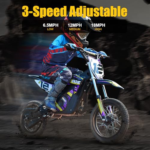 KOOZ HP112E 36V 1000W Electric Dirt Bike for Kids, Purple K601