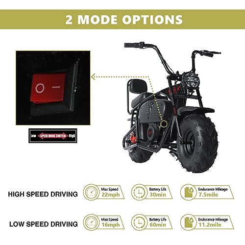 Oryxearth 36V Battery Powered Mini Electric Bike for Kids Ages 13+ L41264