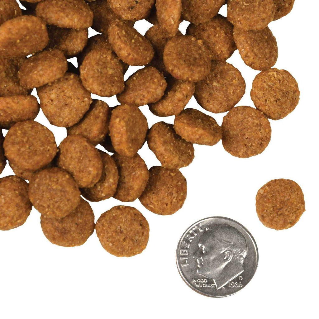 Fromm Four Star Salmon A La Veg Dog Food P498