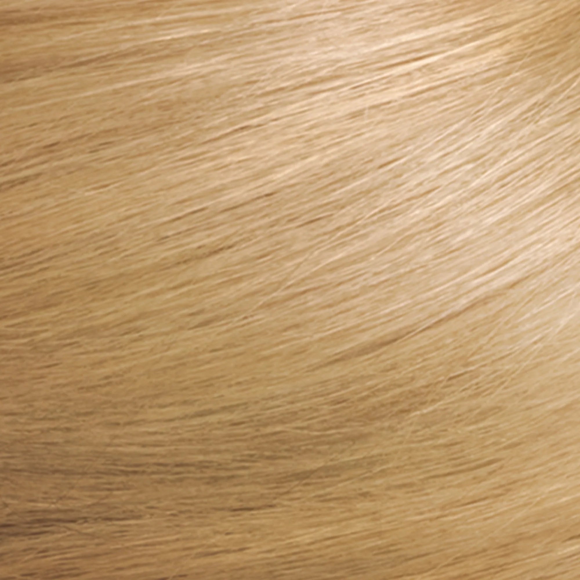 Revlon ColorSilk Permanent Hair Color, 81 Light Blonde E75631