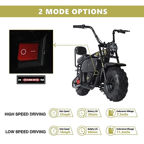 Oryxearth 36V Battery Powered Mini Electric Bike for Kids Ages 13+ L41264