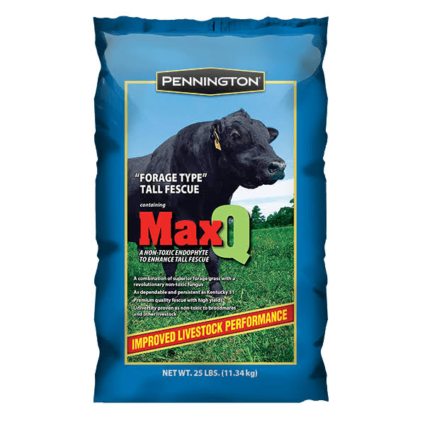 Pennington MaxQ Jesup Forage Tall Fescue Q259