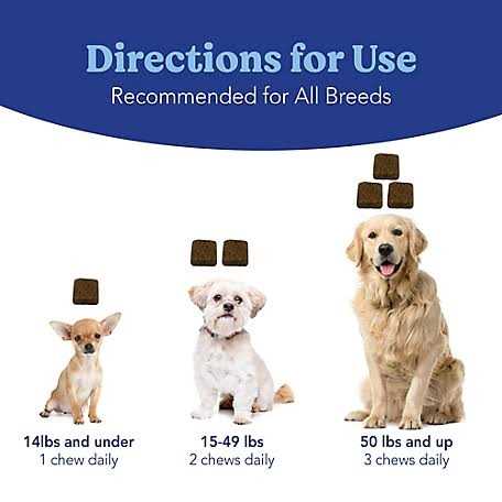 Angels’ Eyes Natural Soft Chews for Dogs X19707