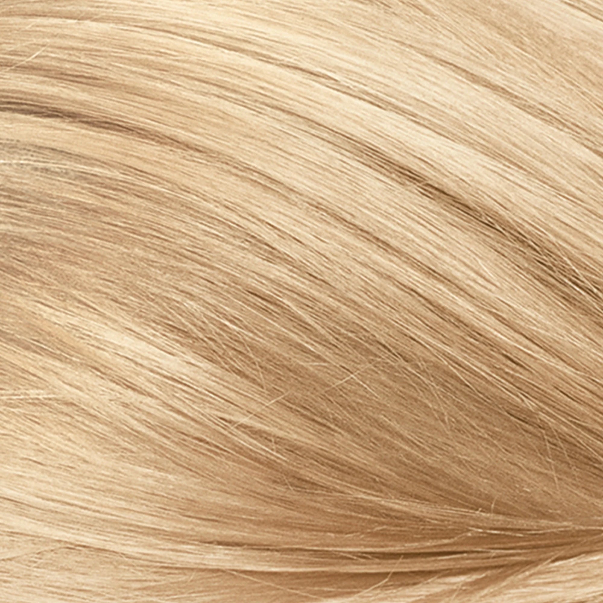 Revlon ColorSilk Permanent Hair Color, 81 Light Blonde E75631