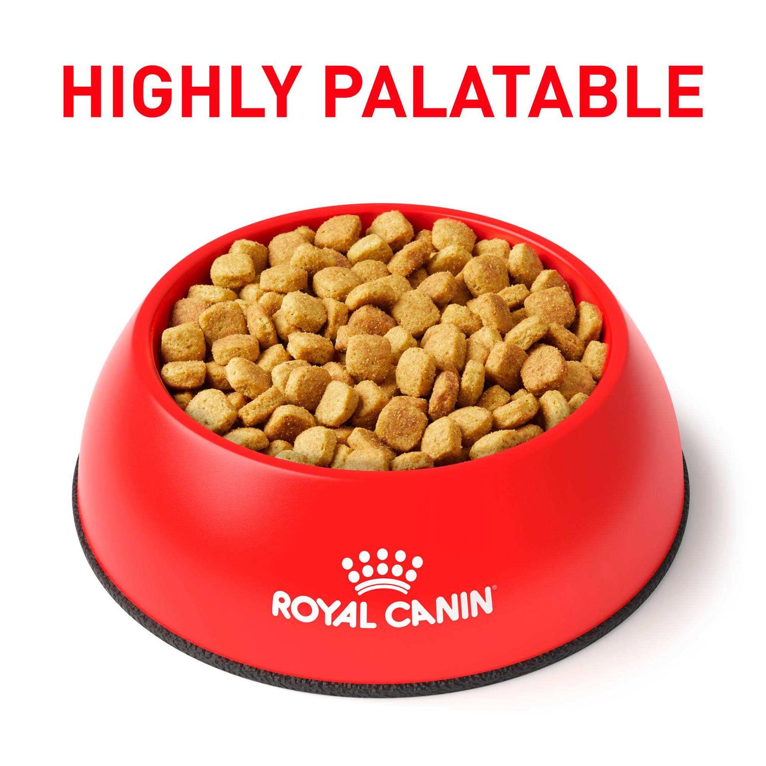 Royal Canin Veterinary Diet Ultamino Dry Dog Food Z912015
