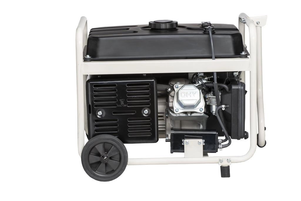 Pulsar 3500-Watt Gasoline Generator with CO Sentry G231387