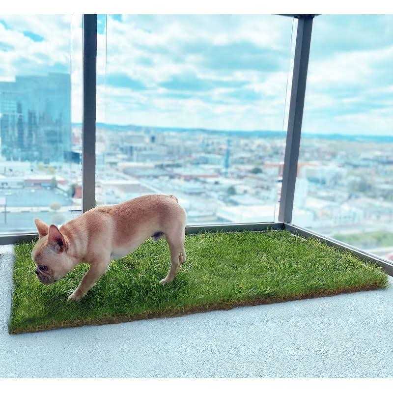 DoggieLawn Dog Potty Real Grass P567039