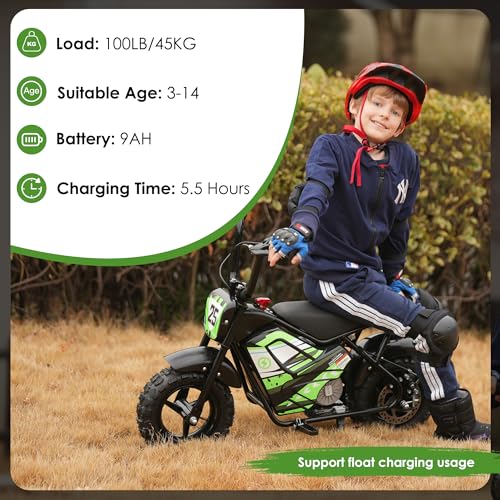Kids Electric Dirt Bike 250W 24V 2-Speed C560898
