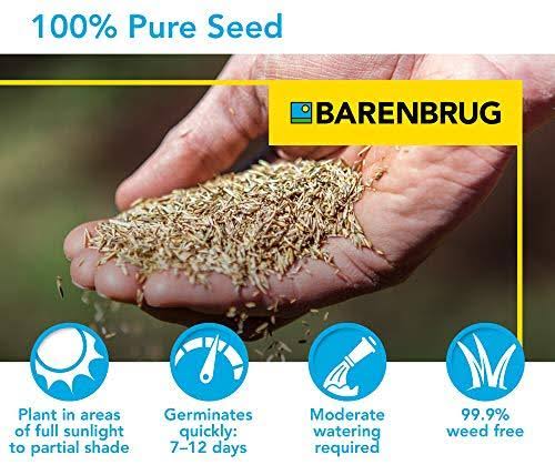 Turf Sense Sun & Shade Mix Grass Seed L4439