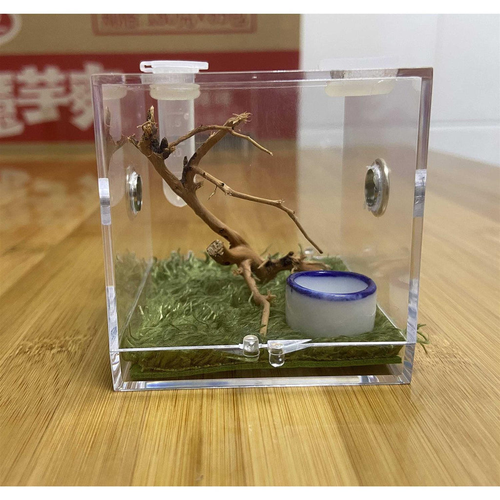 AWXZOM Spider Terrarium Acrylic Reptile Breeding Box D147723
