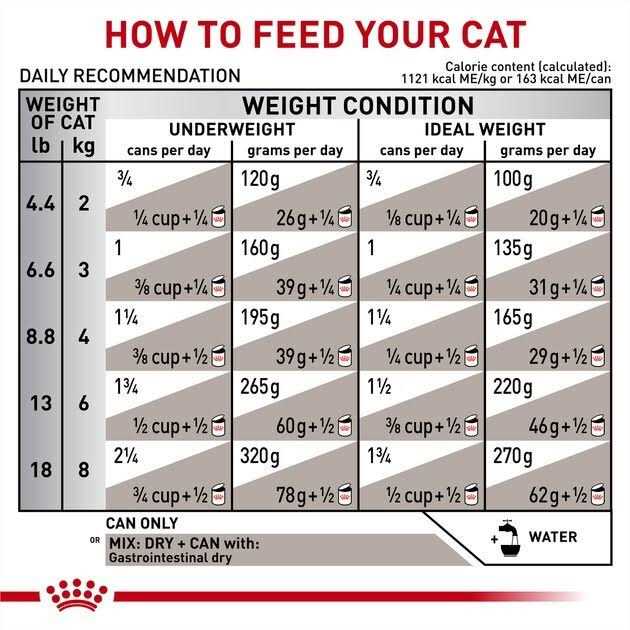 Royal Canin Veterinary Diet Adult Gastrointestinal Loaf in Sauce Cat Food S4898