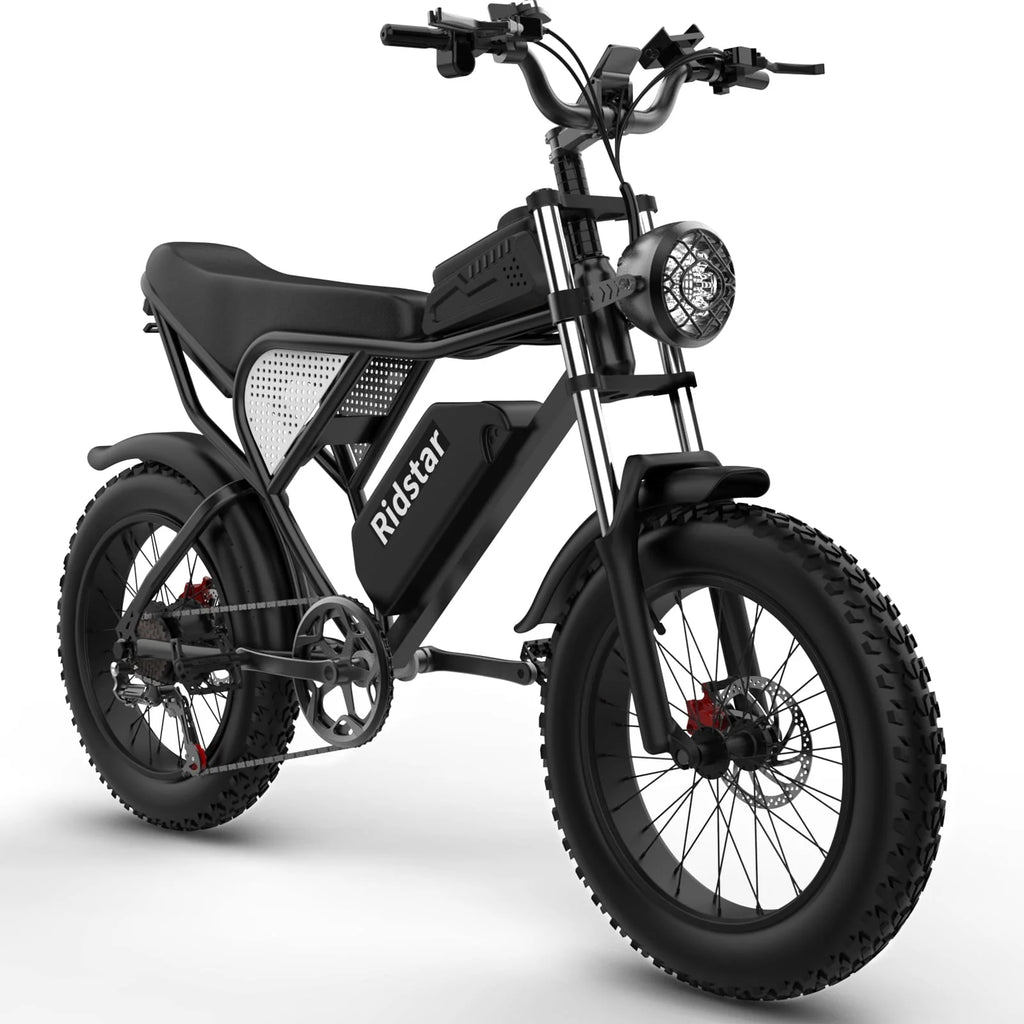 Ridstar Electric Bike for Adults, 20" Fat Tire, 1000W, Removable 48V/20Ah Battery R94788
