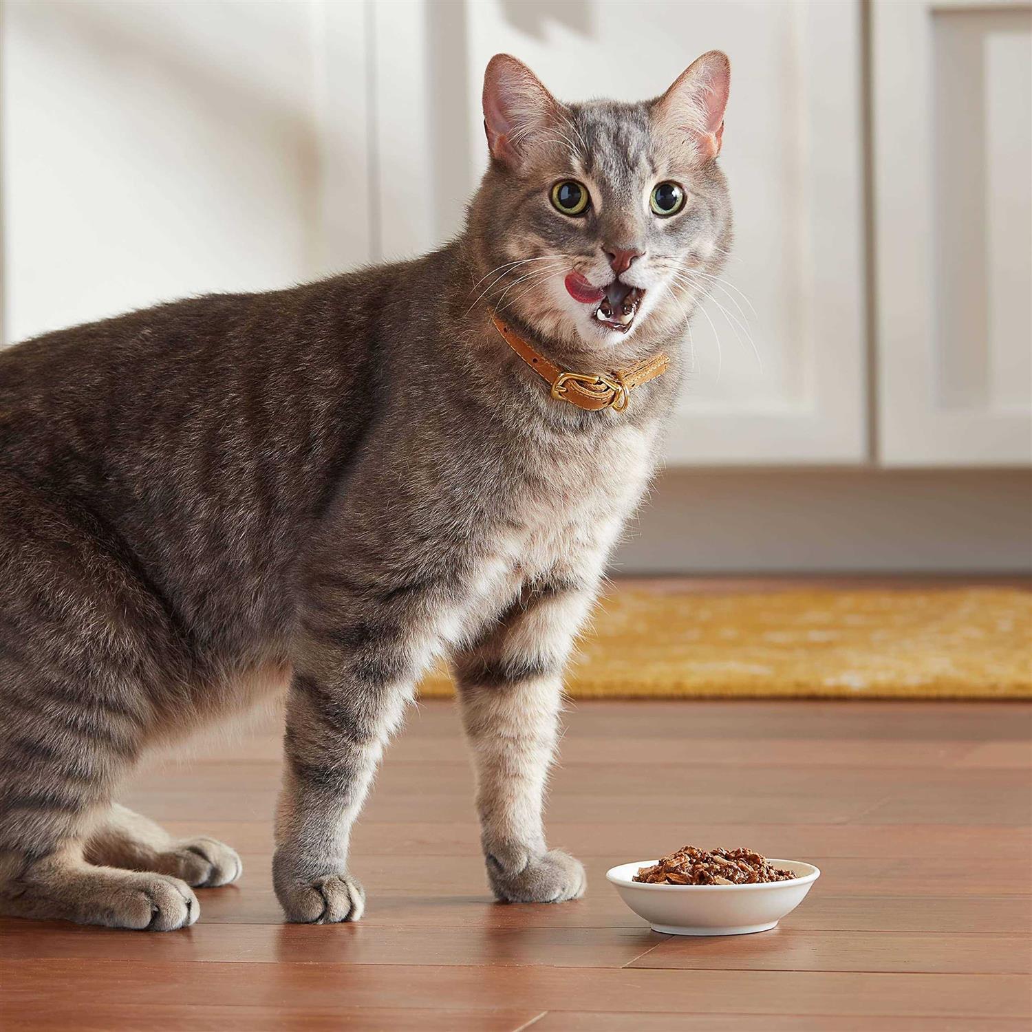 Meow Mix Tender Favorites Wet Cat Food Z217928