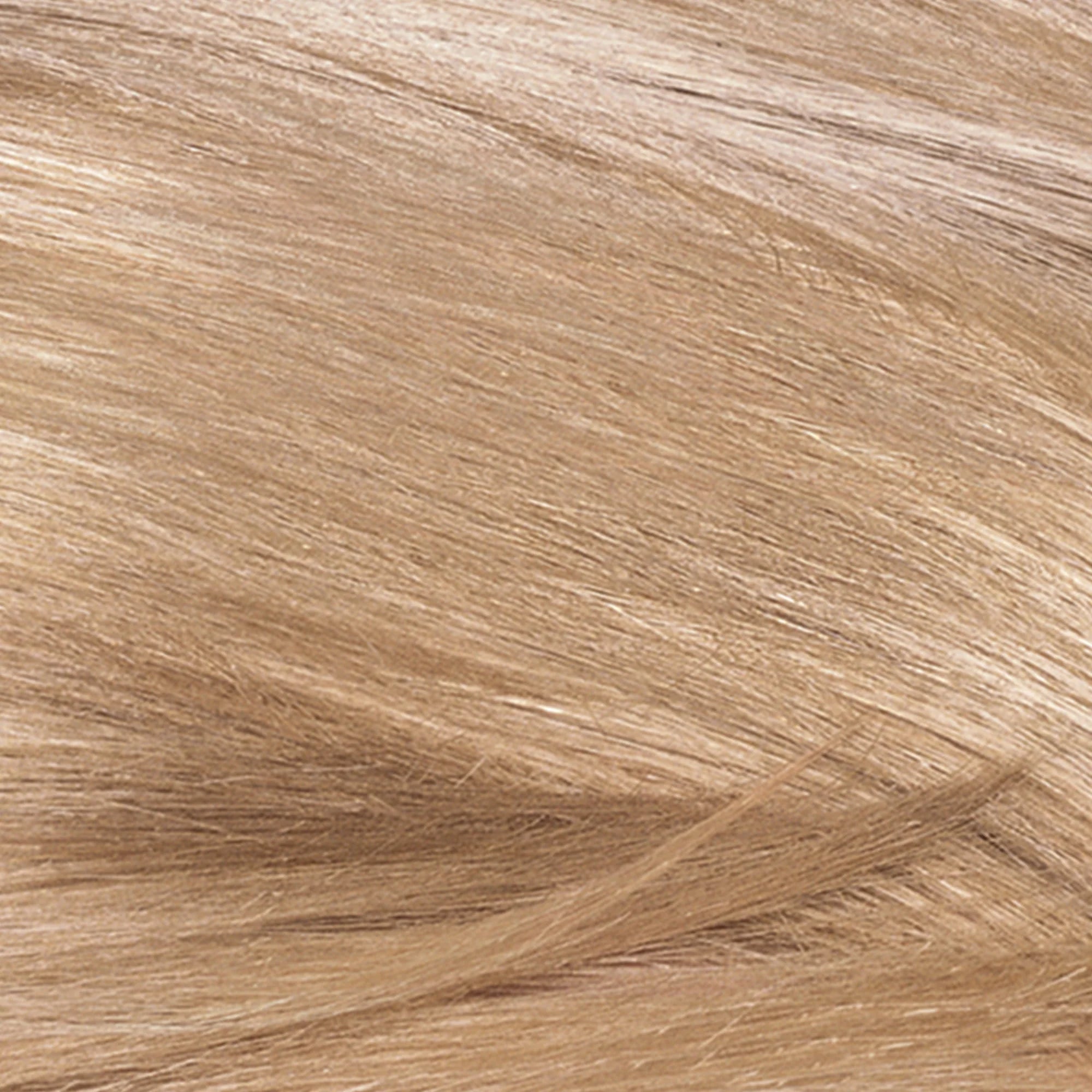 Revlon ColorSilk Permanent Hair Color, 81 Light Blonde E75631