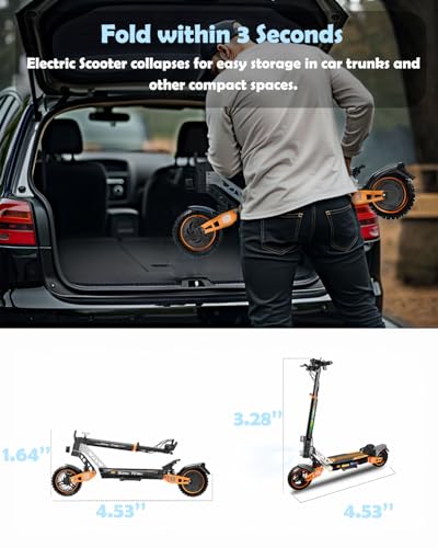 Ruitoo Electric Scooter 1000W Motor, Off Road Foldable E-Scooter for Adults H59744